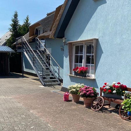 Reethaus Vilmnitz - Ferienwohnung Goor Extérieur photo